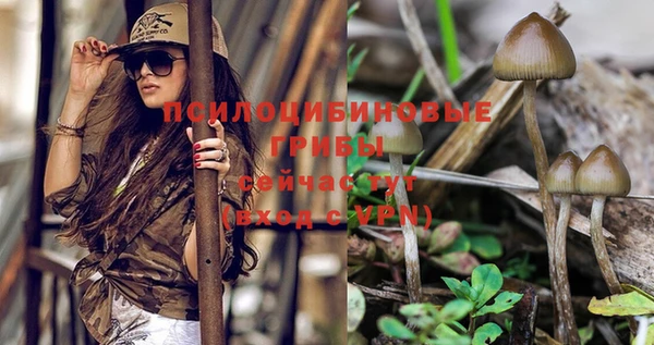 дурь Каменногорск