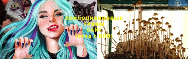 синтетический гашиш Каменка
