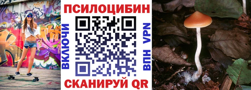продажа наркотиков  Арзамас  Псилоцибиновые грибы мухоморы 